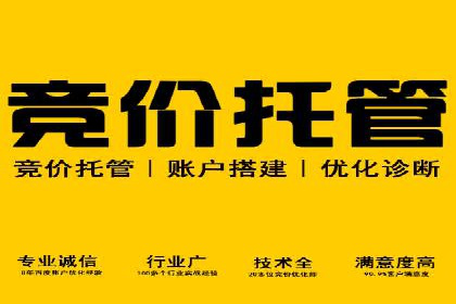 SEM运营公司成功案例集锦
